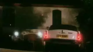 سس حيوانات مع نساء