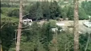 نيك غير متوقف في الغابة والنهر