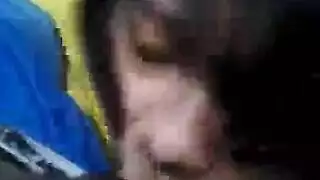 plump pussies and big asses in action