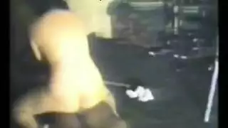 قصص ساحقات إباحية حكايات إكس إكس إكس جنسية صريحة