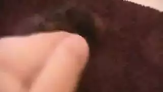 نيك شرجي قاسي: قضيب أسمر كبير يوسع فتحتها وهي تصرخ