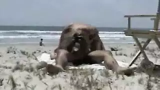 نيك شاطئي عاري مع جيسيكا الروسية نهاية بقذف داخلي