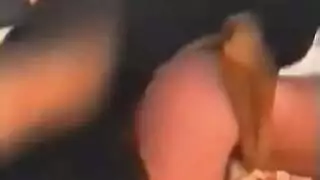 حفلة جنس مع حيوانات وعابرون جنسياً وكلب