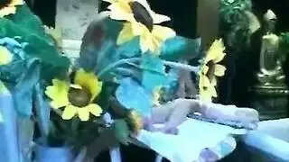 التوبة من النظر