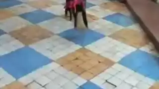 صنم الجوارب عالي الدقة – جلسة شهوانية صريحة