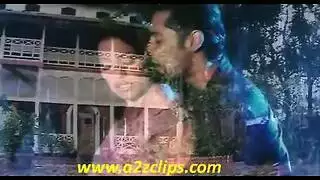 حفلة جماح صاخبة لبيباشا ودينو