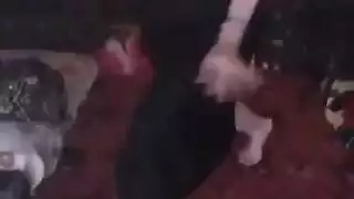 فتاة تتعرض لإيلاج مزدوج بعد تعرية مثيرة